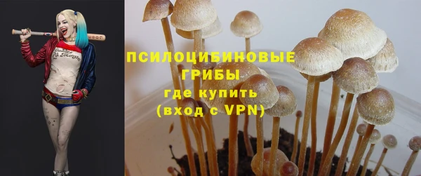 мдпв Бронницы