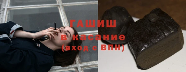 бошки Бородино