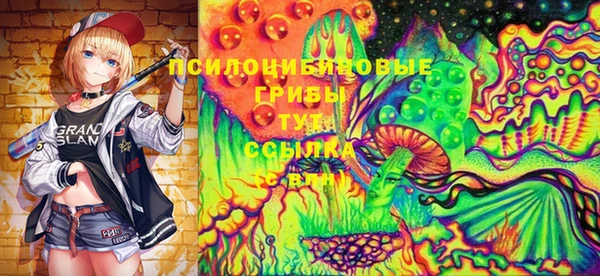 бошки Бородино