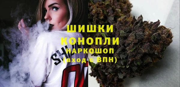 мдпв Бронницы