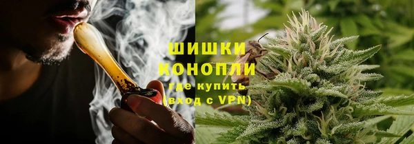 мдпв Бронницы