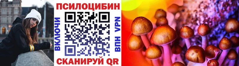 Купить  Куса  Псилоцибиновые грибы прущие грибы 