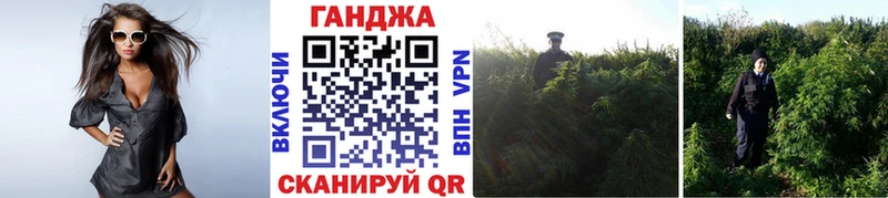 Купить где  Куса  МАРИХУАНА VHQ 